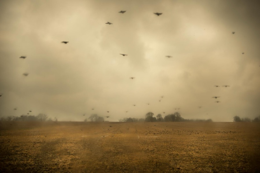 Todd Hido, 11788-6176, 2020
