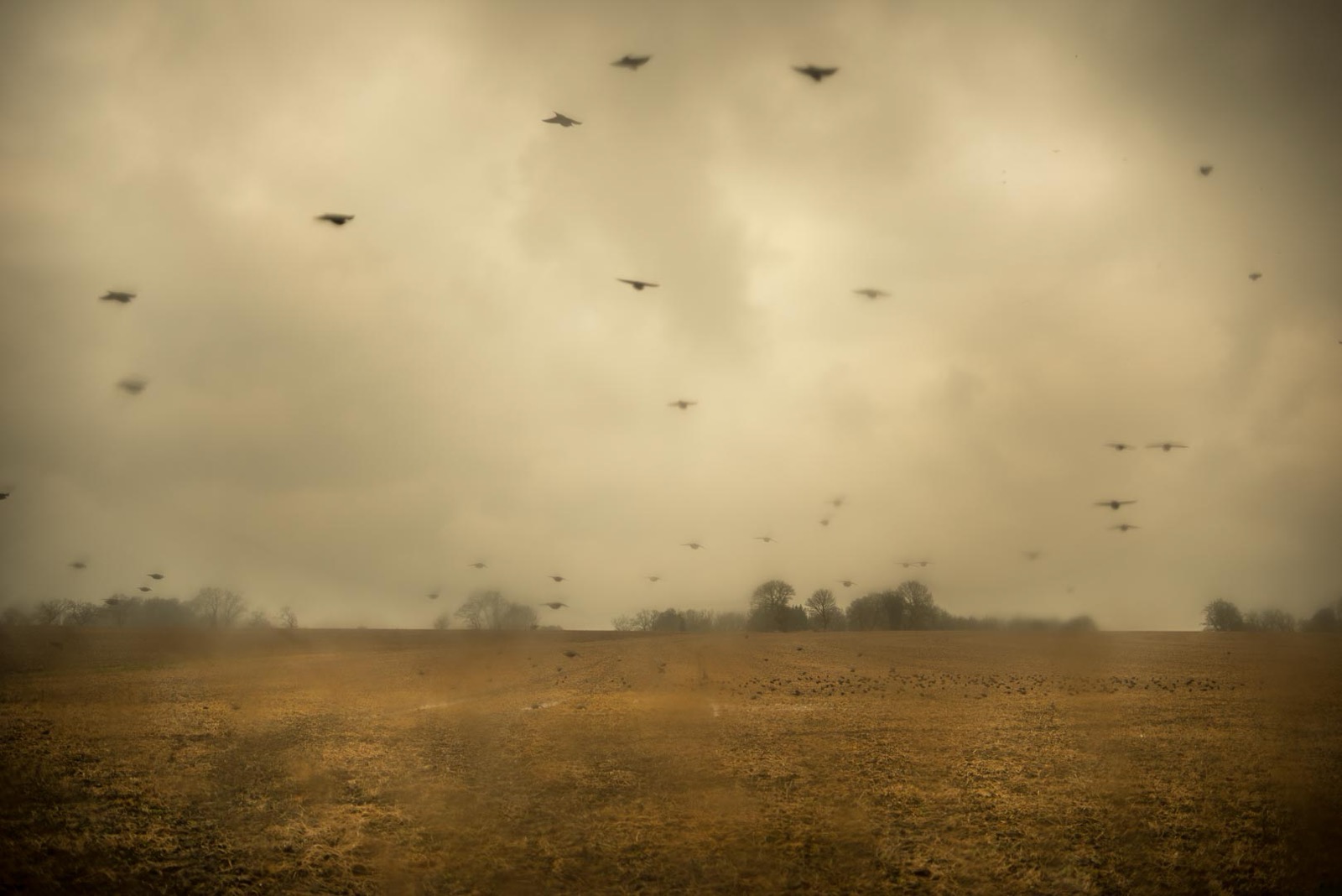 Todd Hido, 11788-6176, 2020