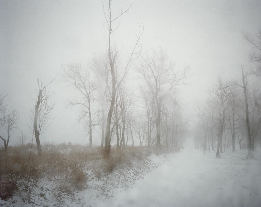 Todd Hido, 11188-06, 2014