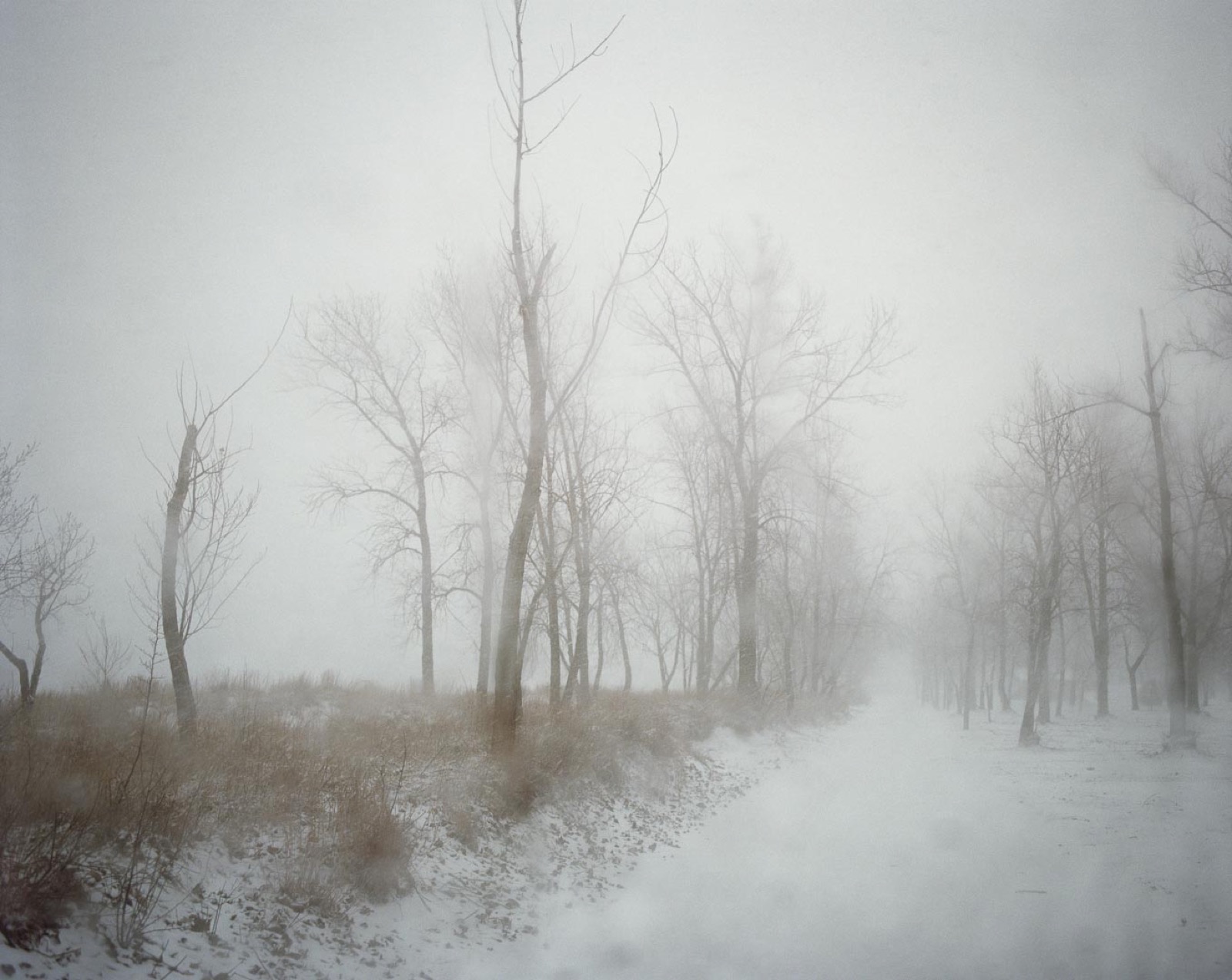 Todd Hido, 11188-06, 2014
