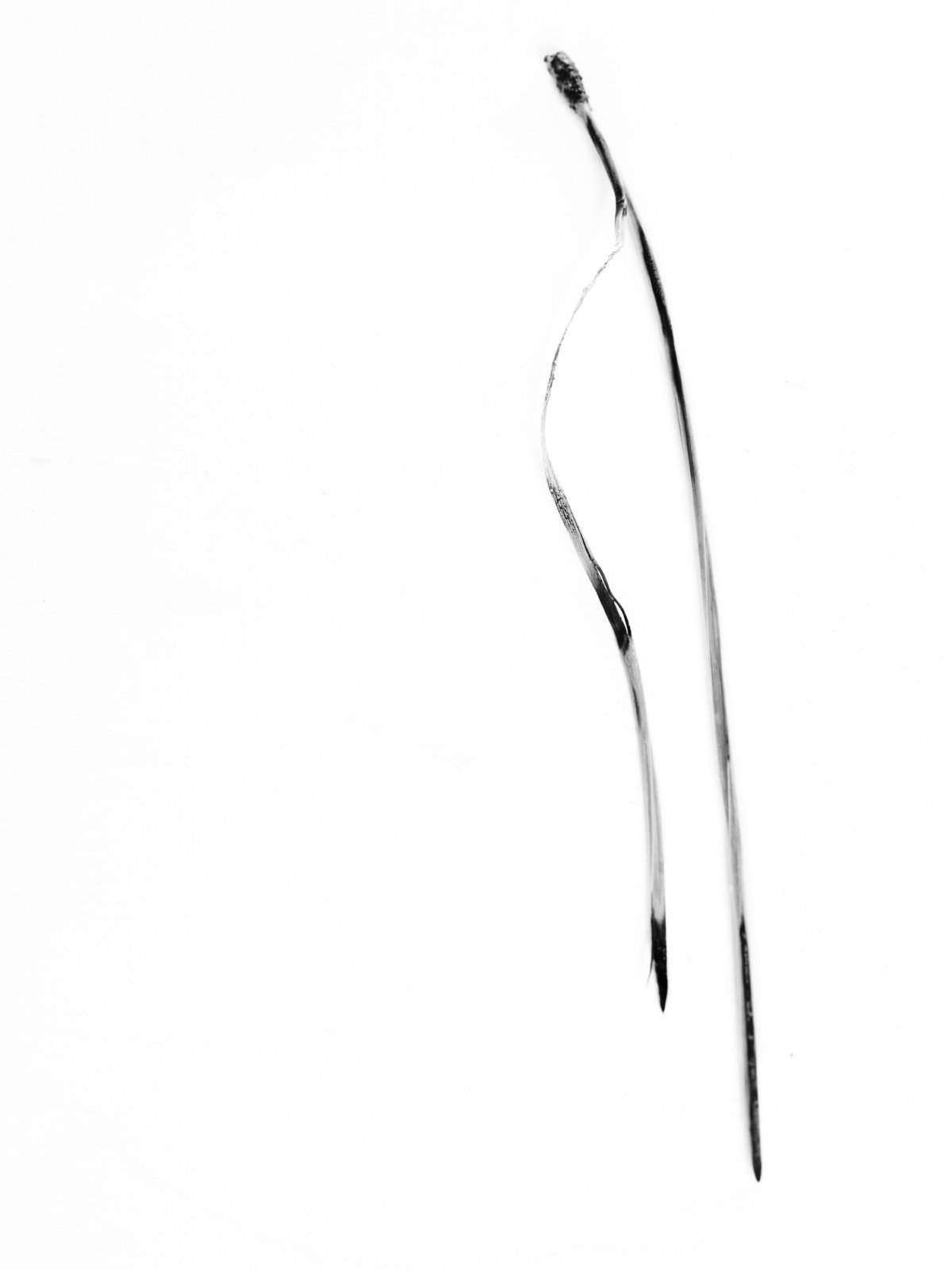 Txema Yeste, Needles, 2019-24