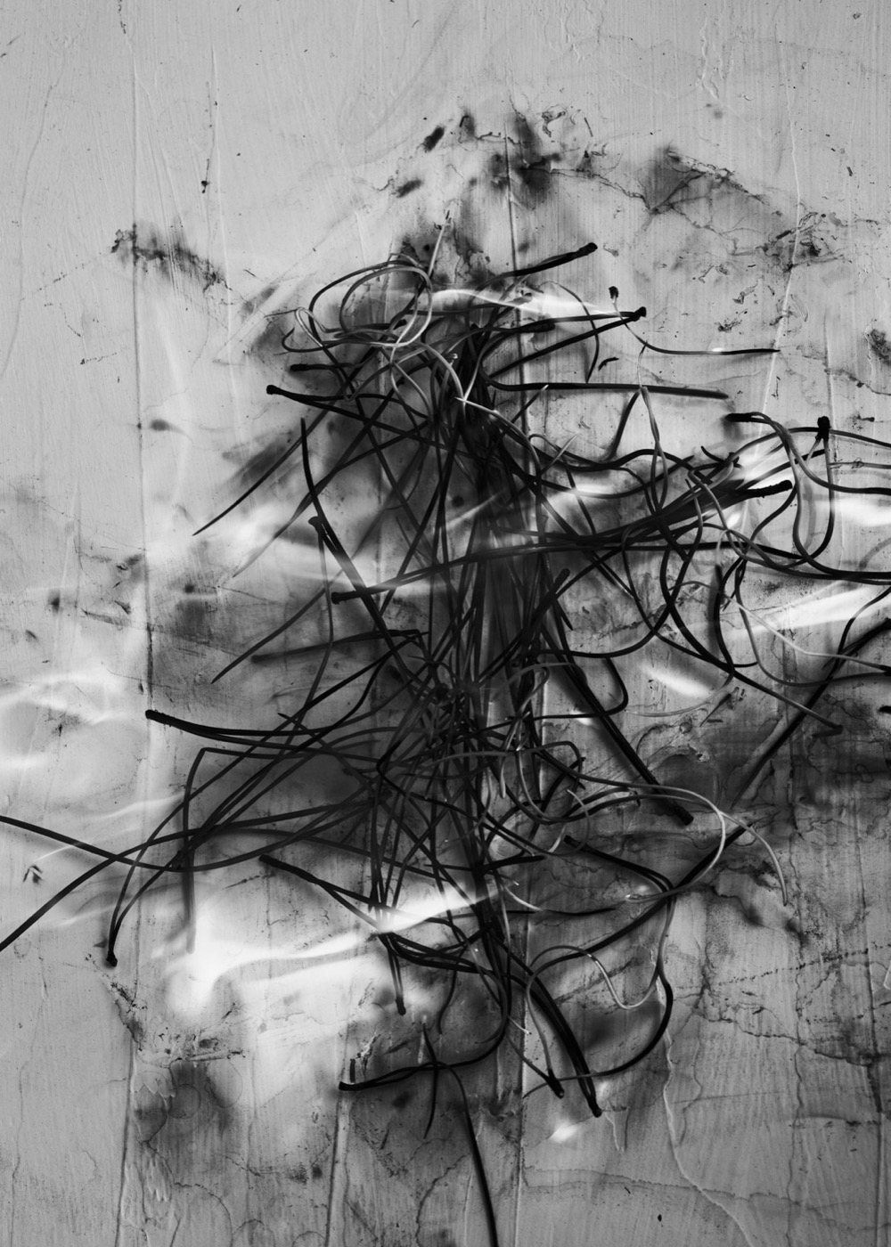 Txema Yeste, Needles, 2019-24