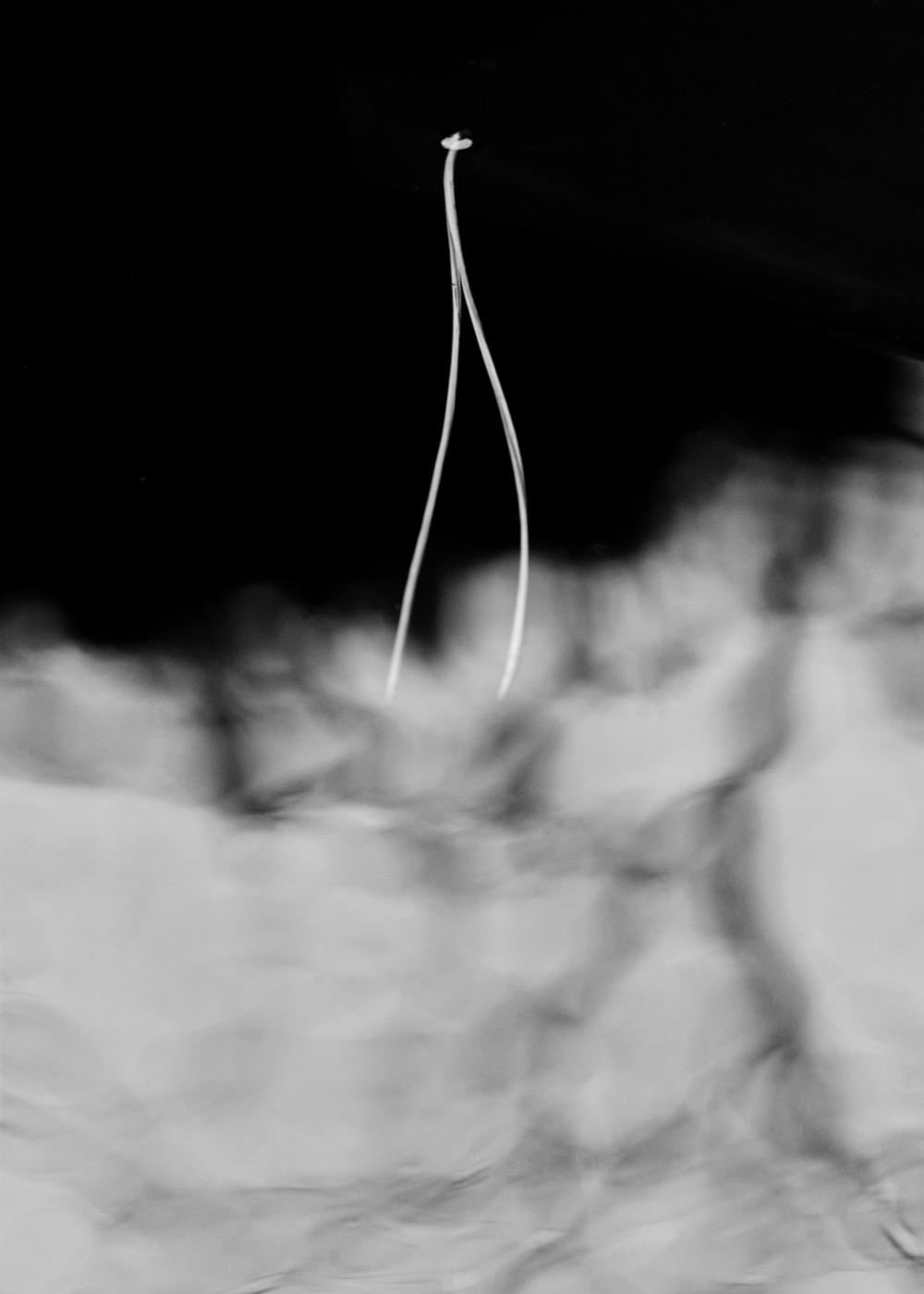 Txema Yeste, Needles, 2019-24