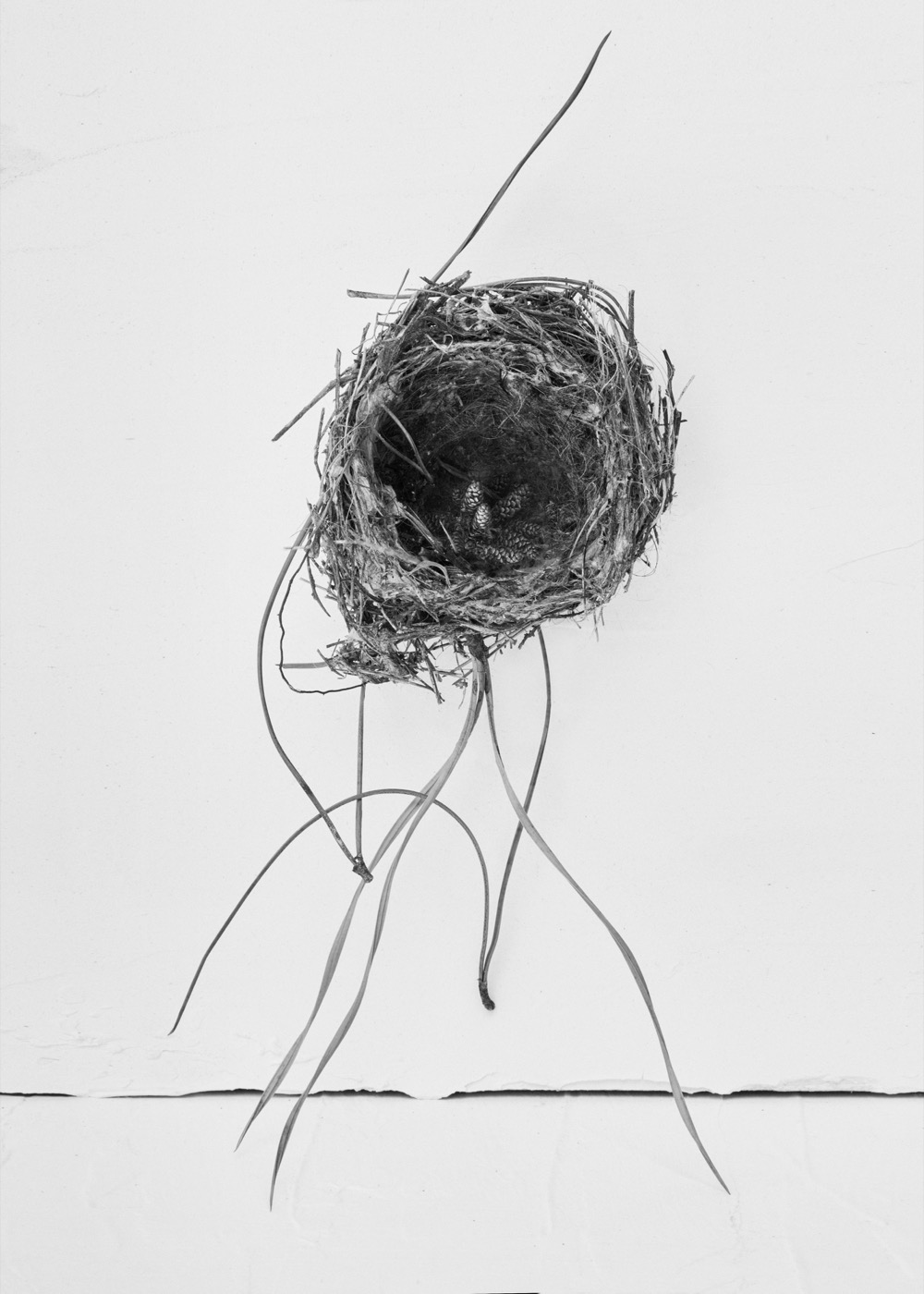 Txema Yeste, Needles, 2019-24