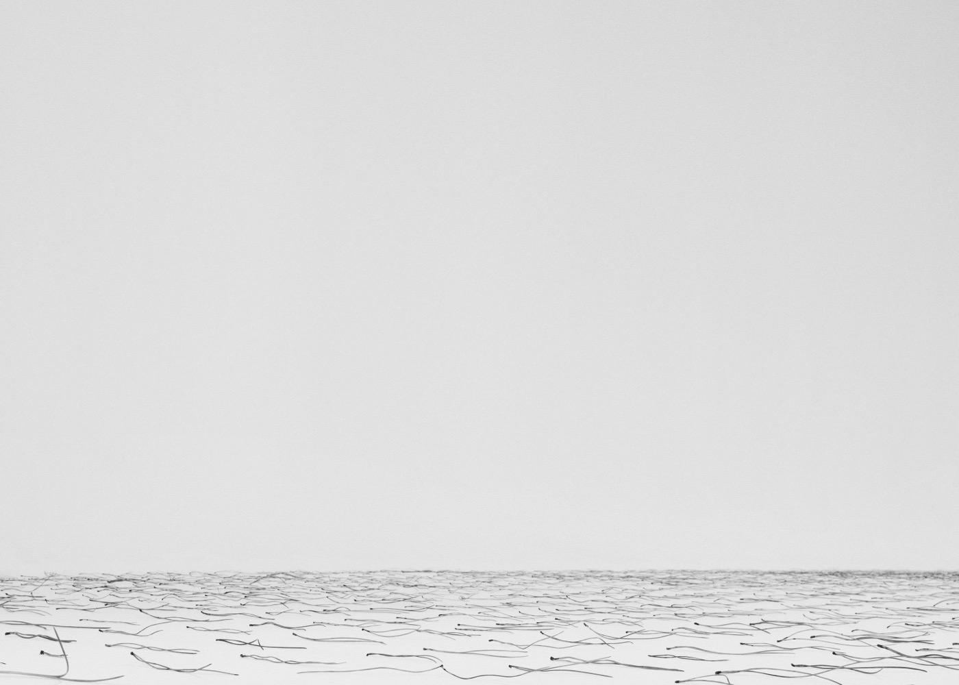 Txema Yeste, Needles, 2019-24