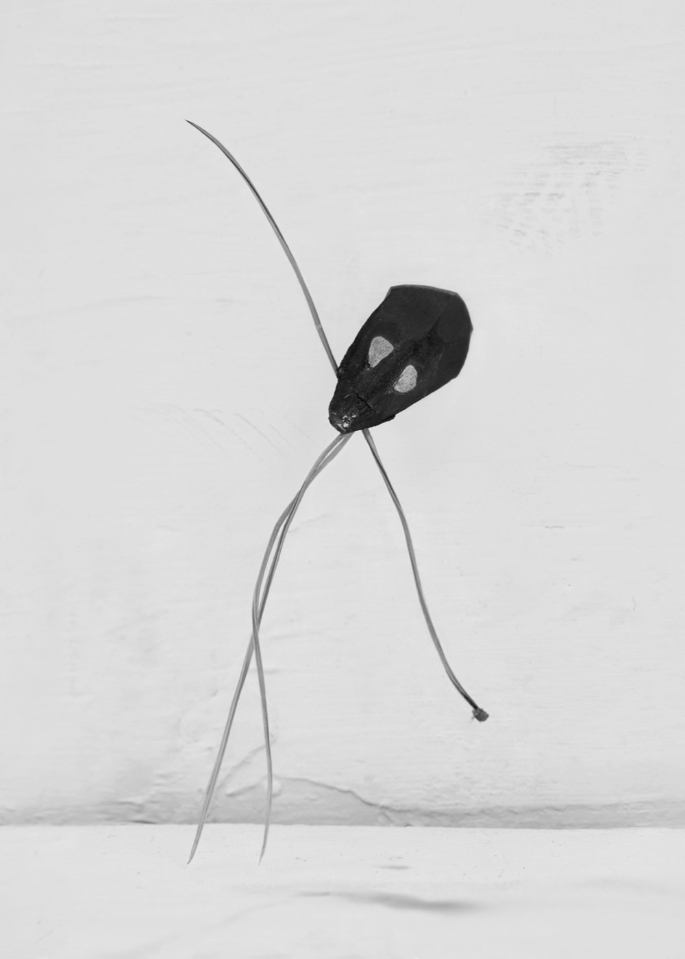Txema Yeste, Needles, 2019-24