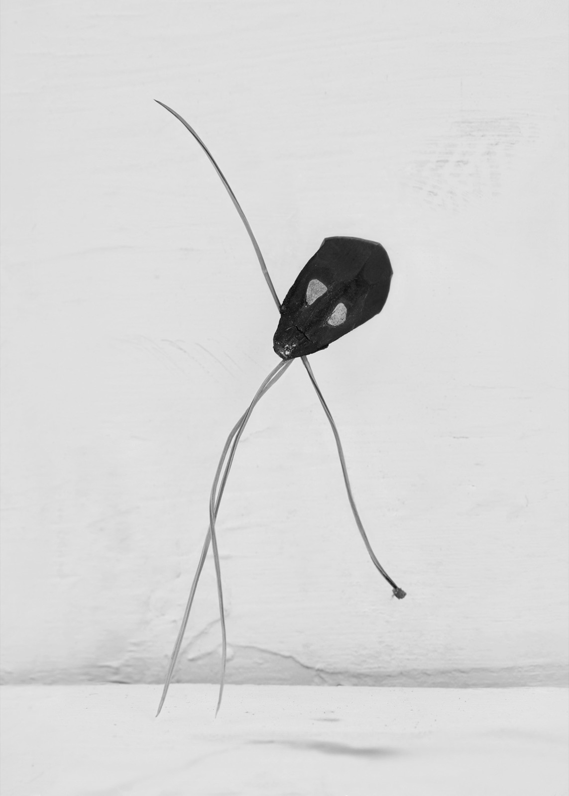Txema Yeste, Needles, 2019-24
