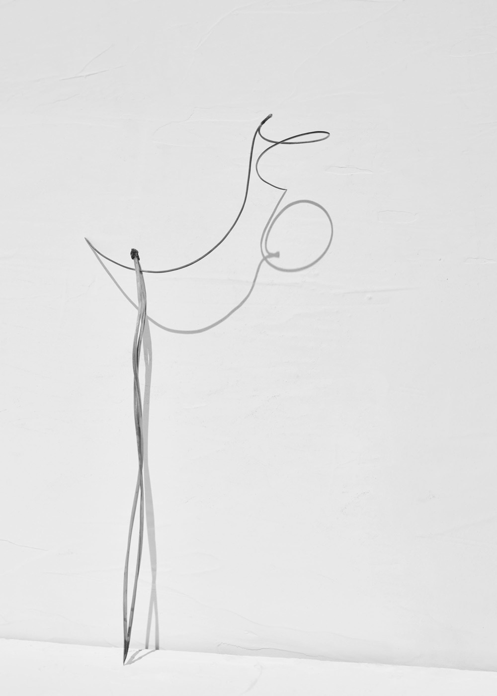 Txema Yeste, Needles, 2019-24