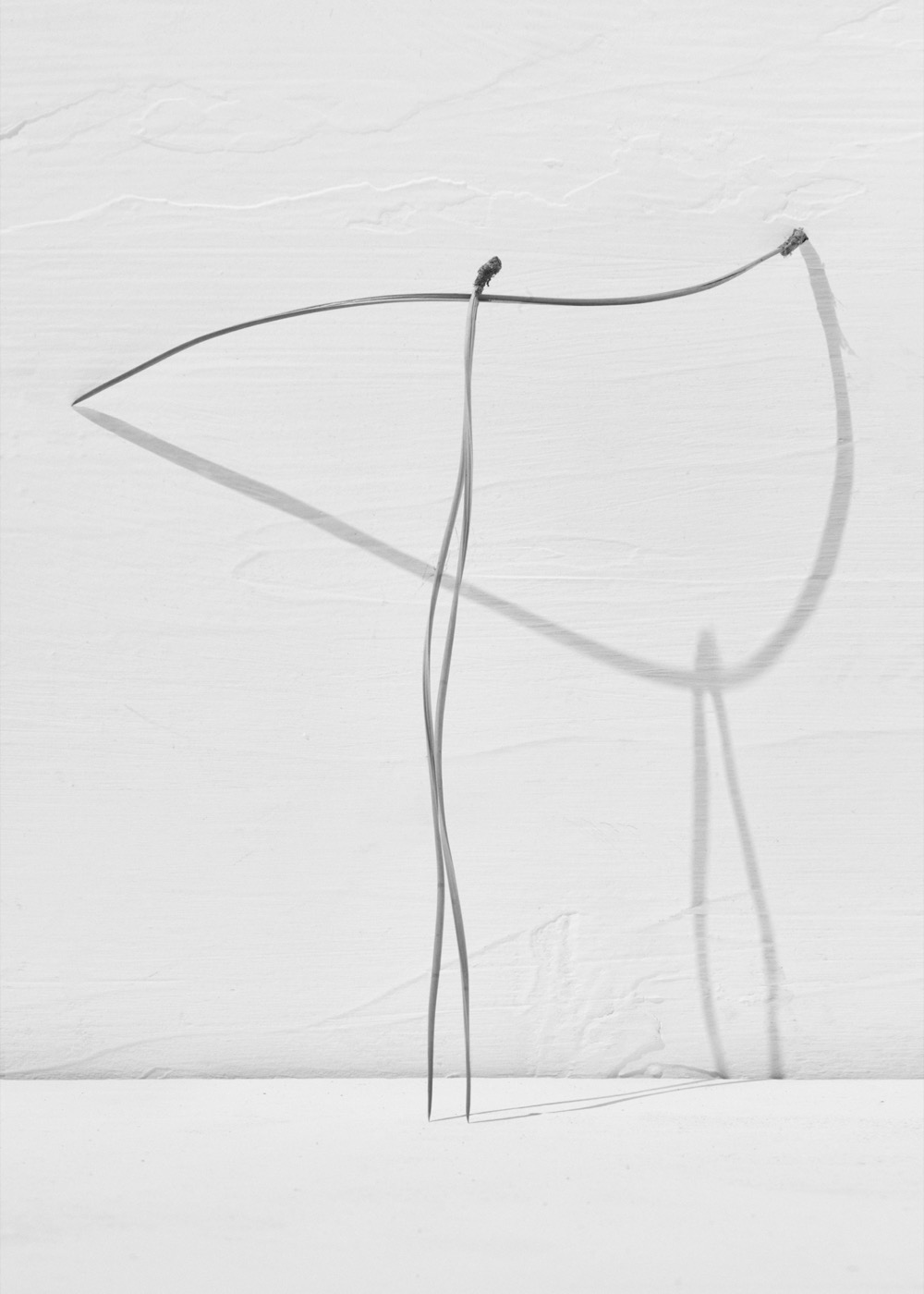Txema Yeste, Needles, 2019-2024