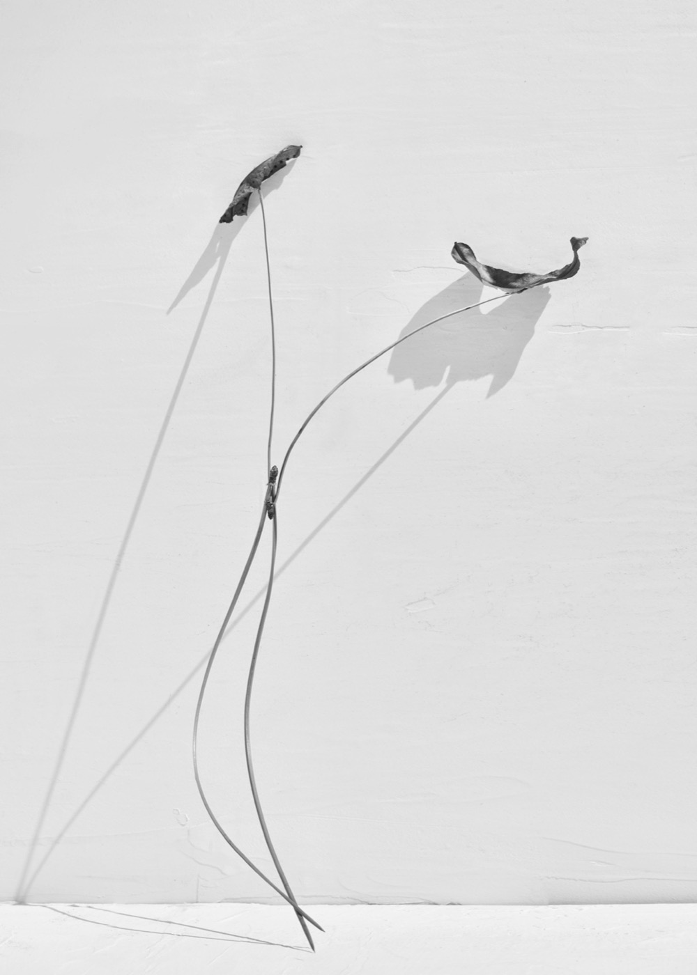 Txema Yeste, Needles, 2019-24