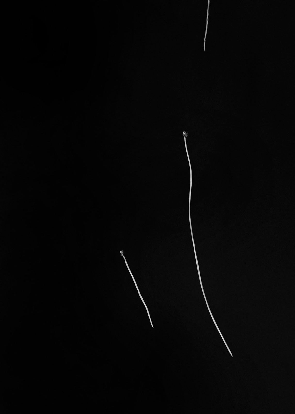 Txema Yeste, Needles, 2019-24