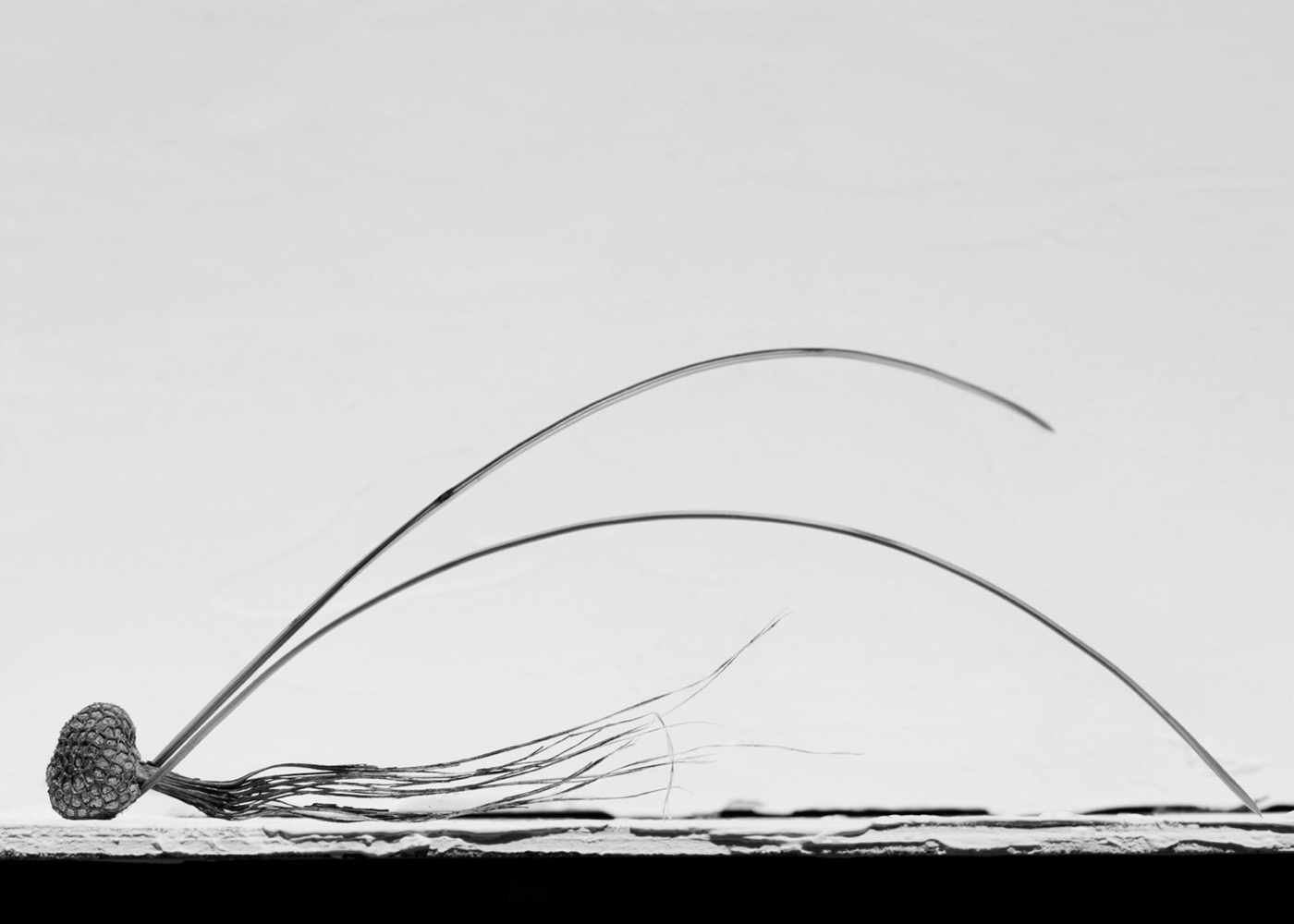 Txema Yeste, Needles, 2019-24