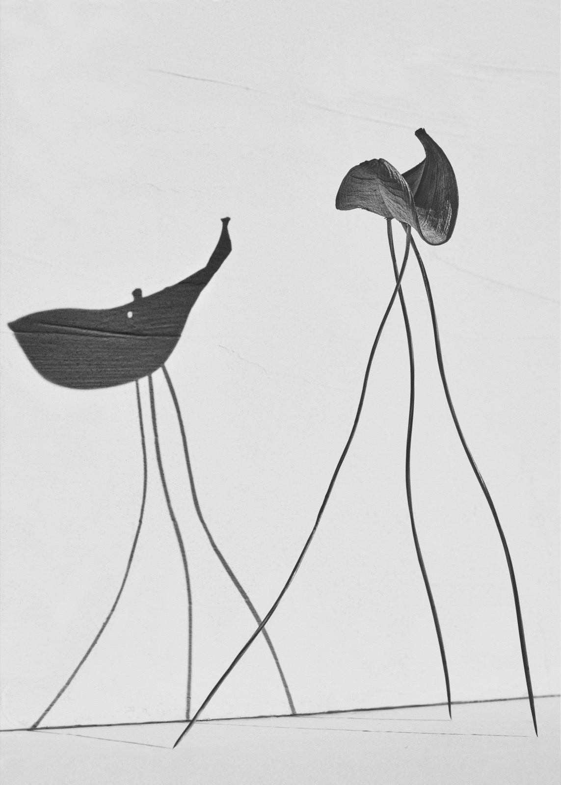 Txema Yeste, Needles, 2019-24