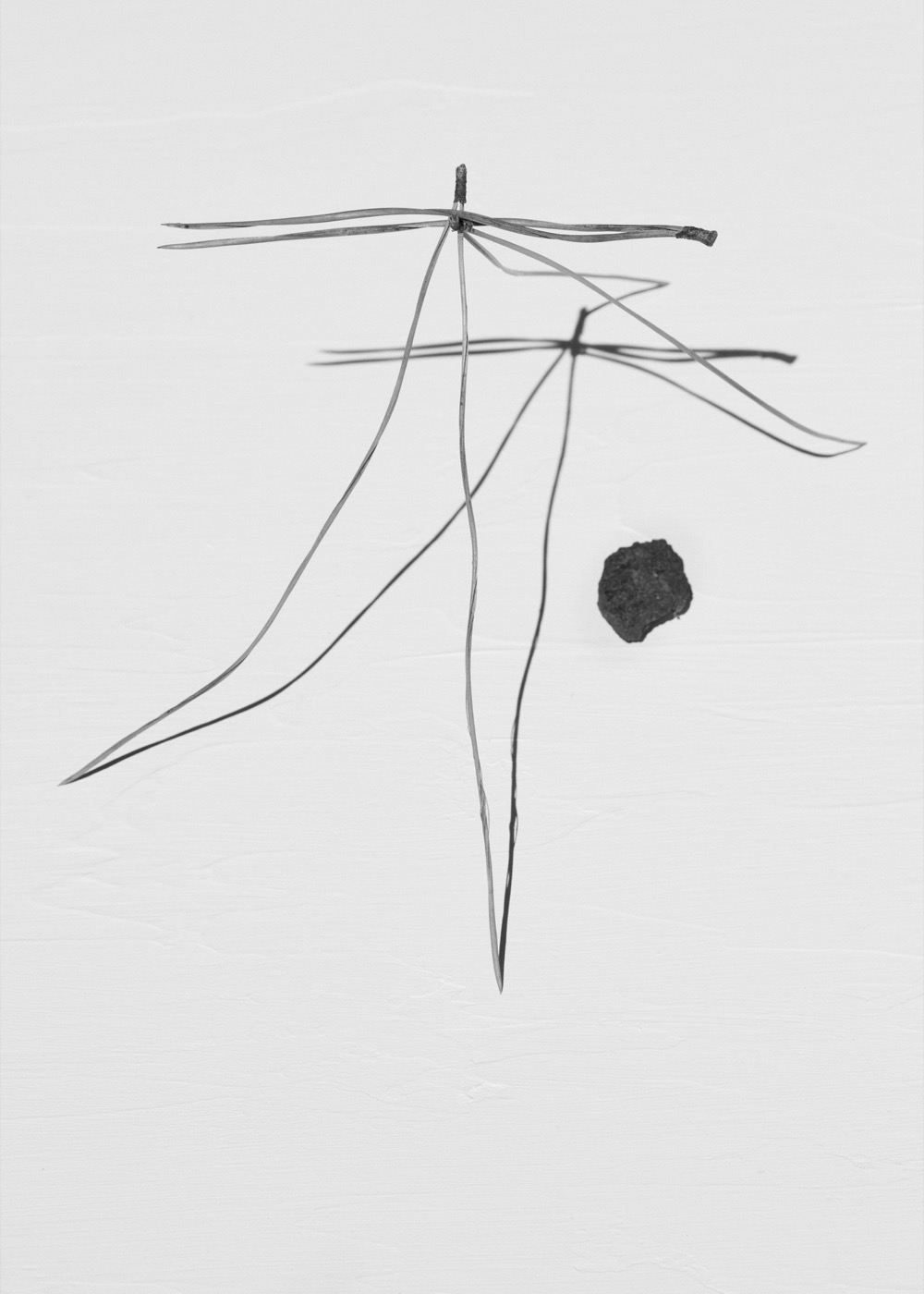 Txema Yeste, Needles, 2019-24