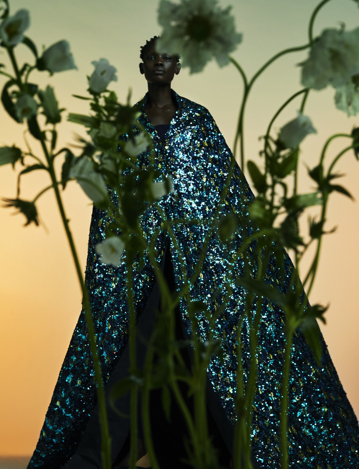 Txema Yeste, Flower Field, 2018