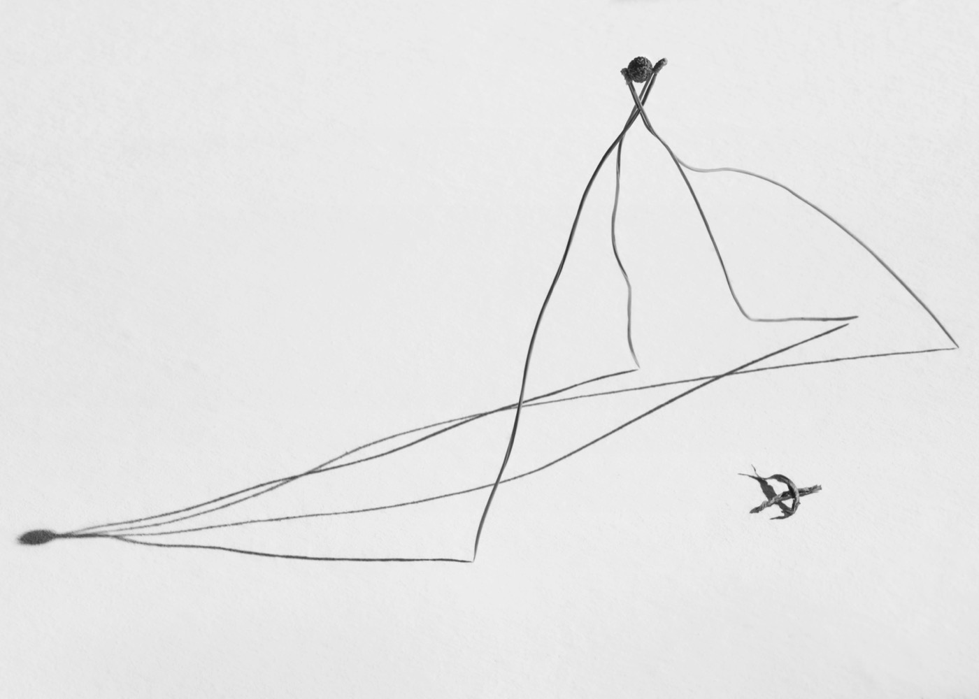Txema Yeste, Needles, 2019-24