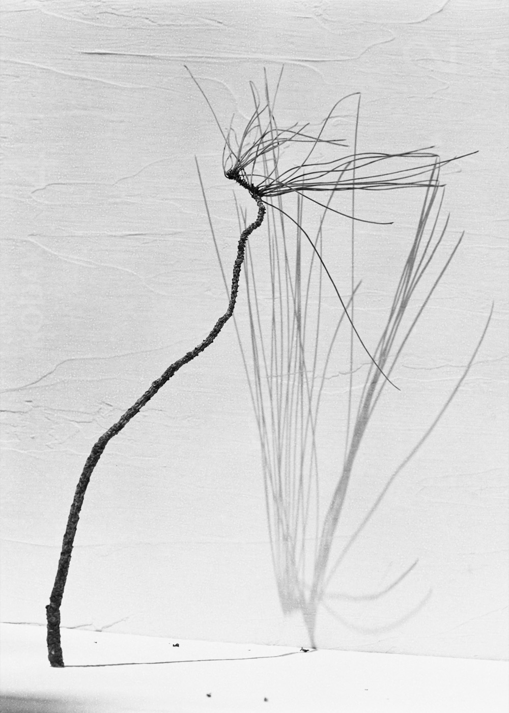 Txema Yeste, Needles, 2019-24
