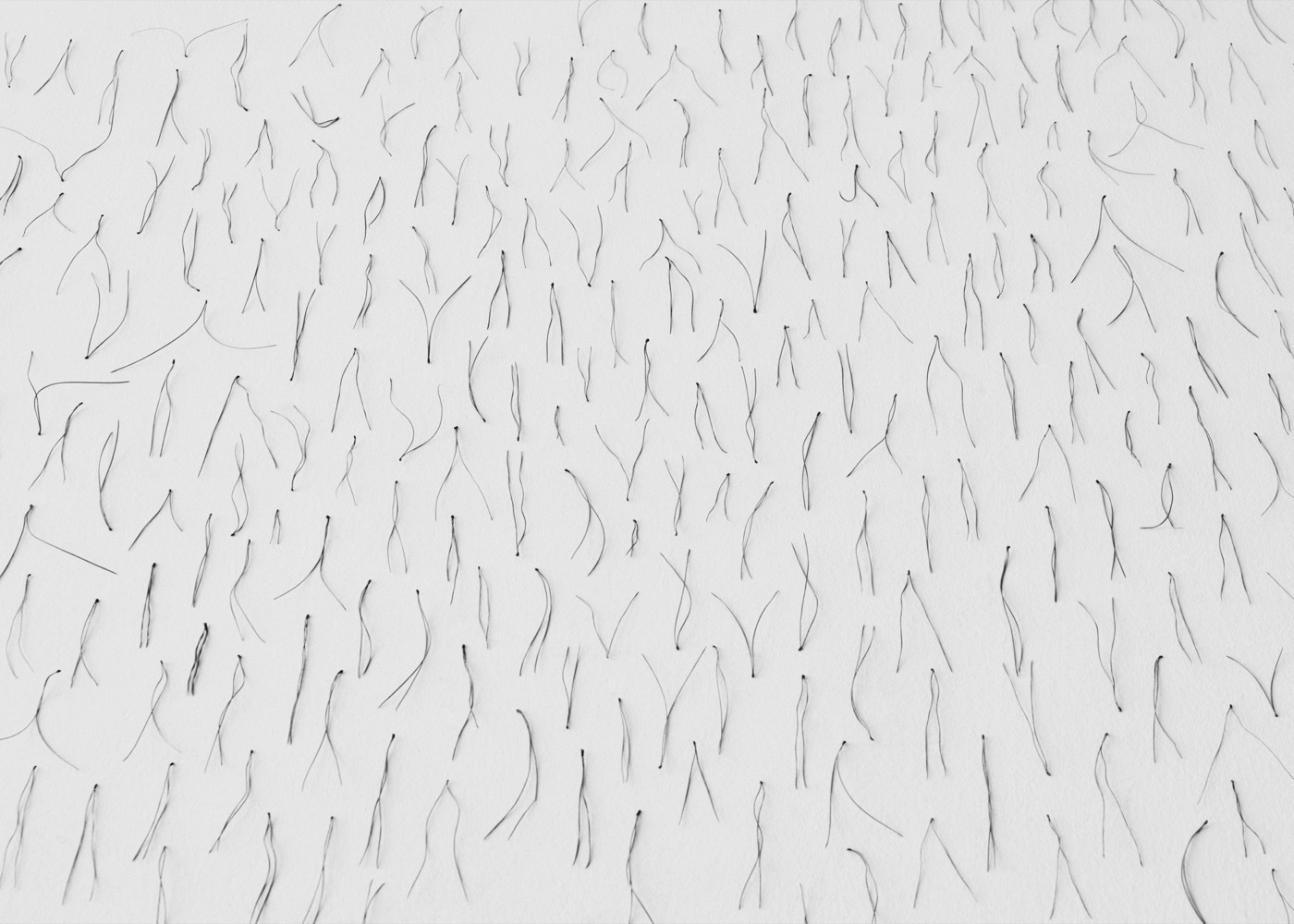 Txema Yeste, Needles, 2019-24