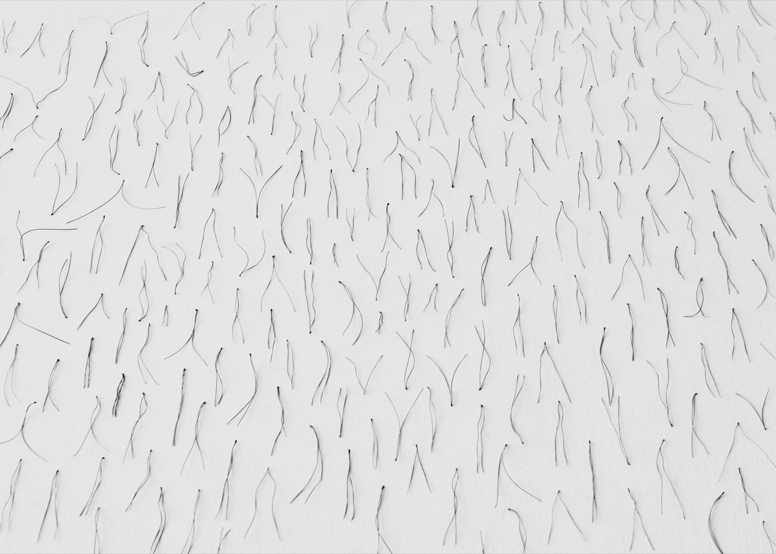 Txema Yeste, Needles, 2019-24