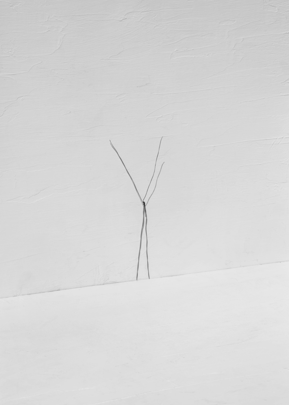 Txema Yeste, Needles, 2019-24