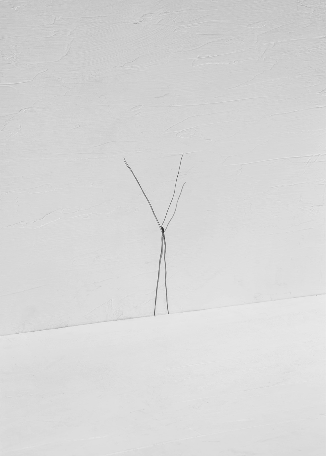 Txema Yeste, Needles, 2019-24