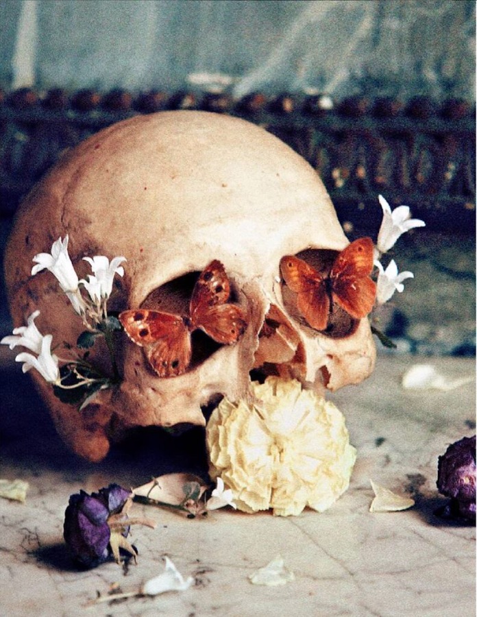 Txema Yeste, Spring Vanitas, 2012