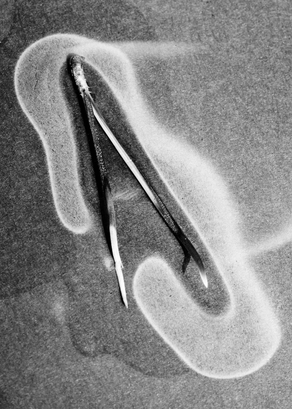 Txema Yeste, Needles, 2019-24