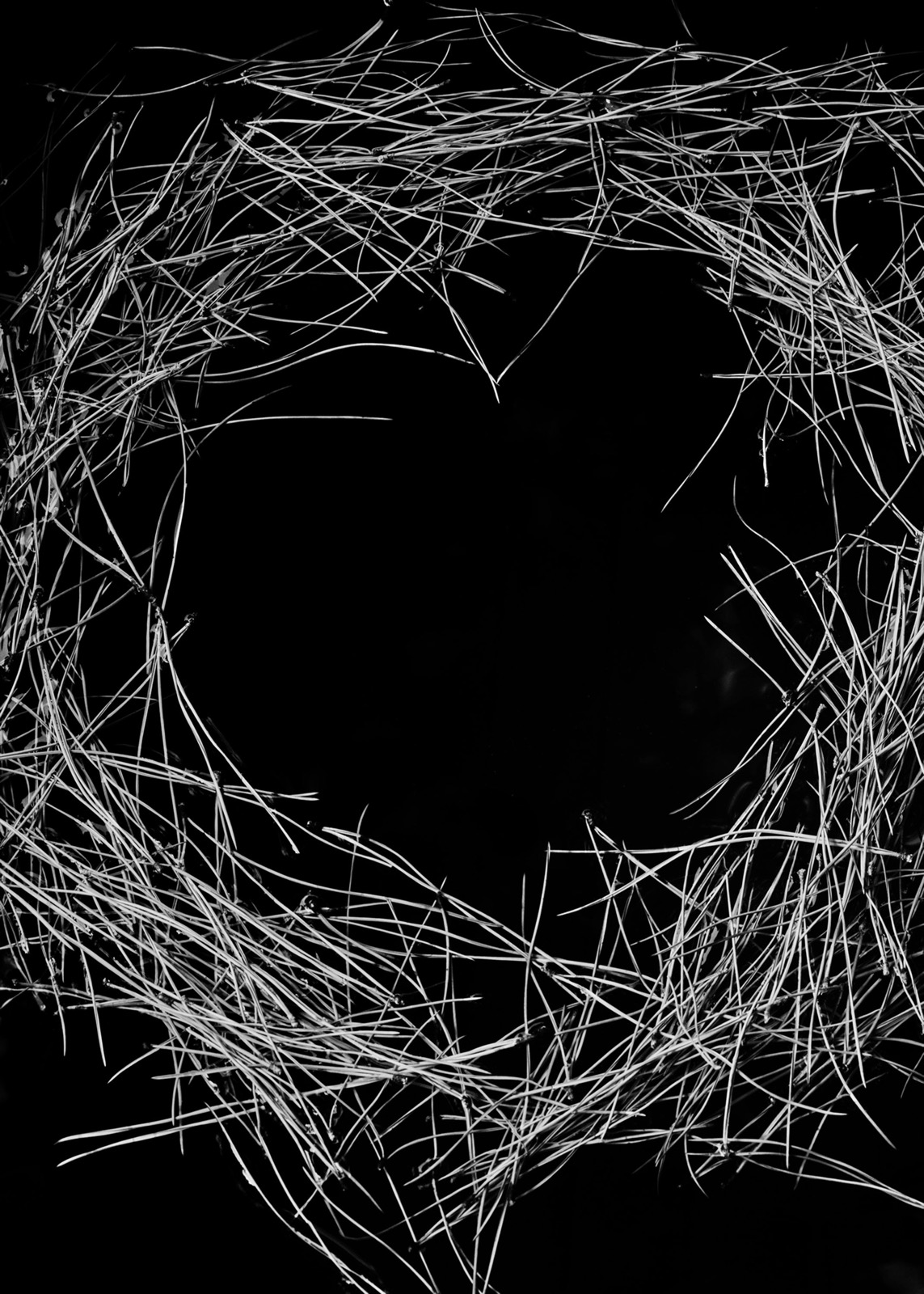 Txema Yeste, Needles, 2019-24