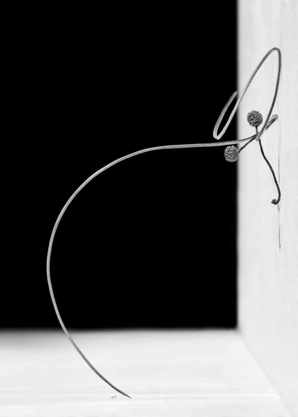 Txema Yeste, Needles, 2019-24