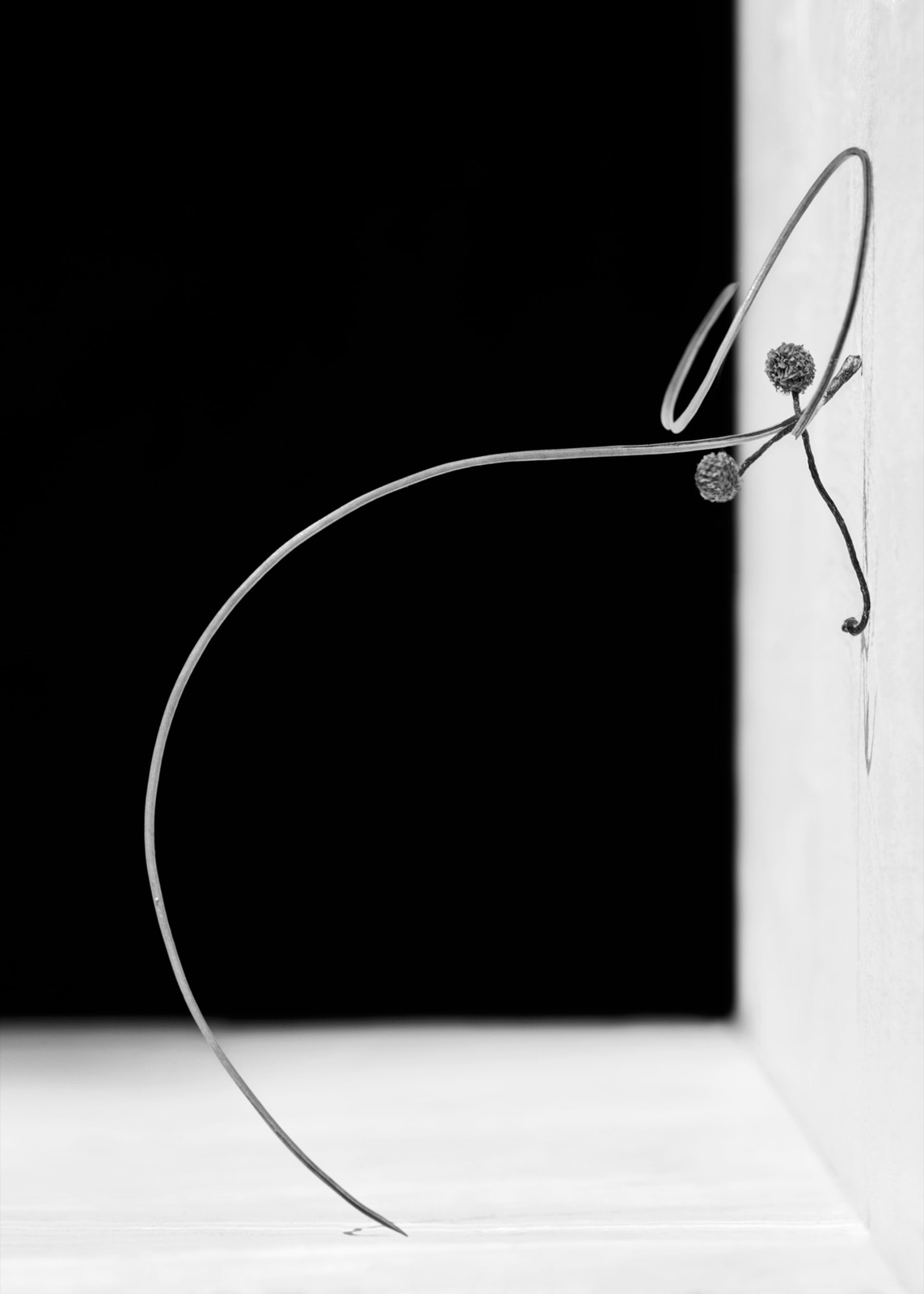 Txema Yeste, Needles, 2019-24