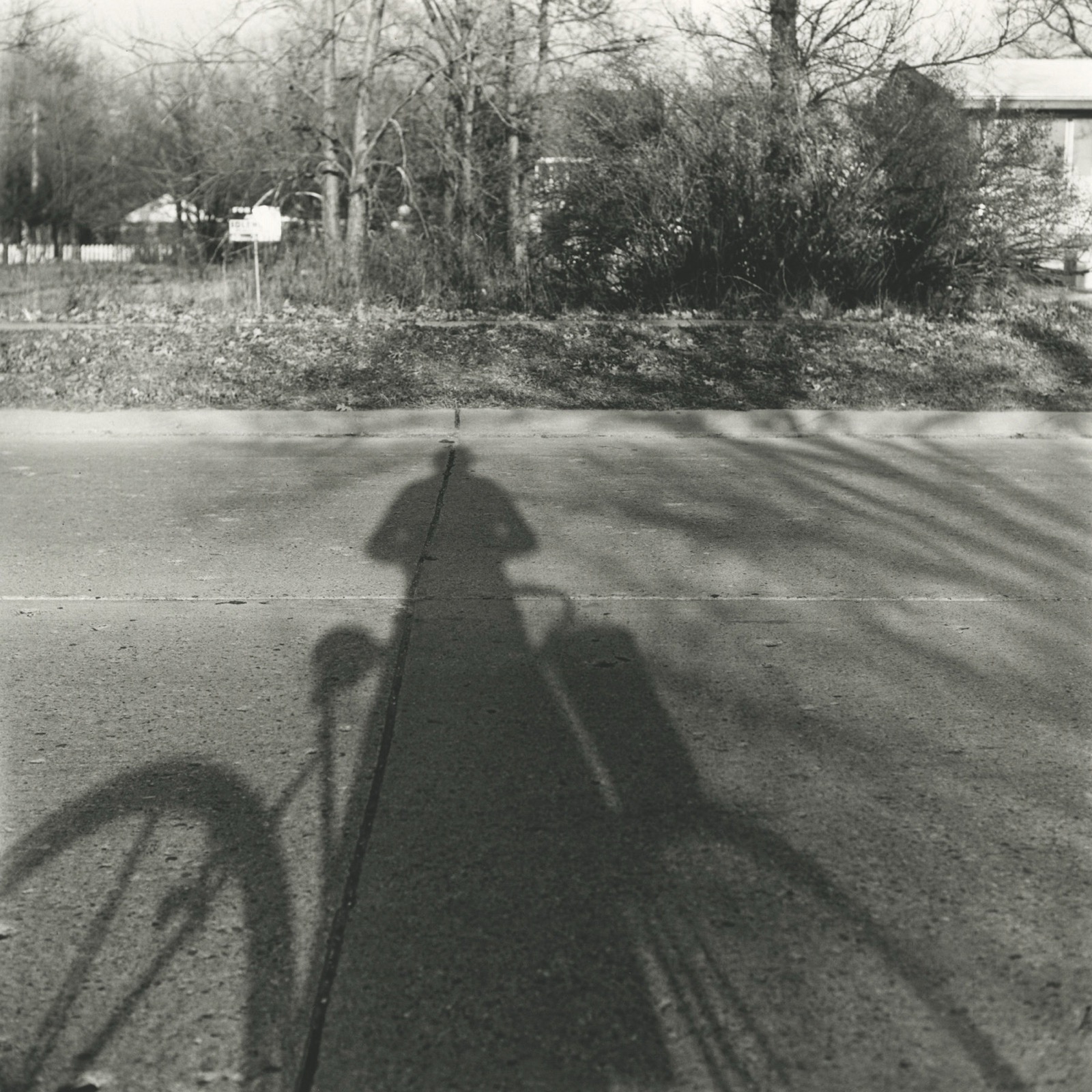 Vivian Maier, Self-portrait, Chicago area, 1959