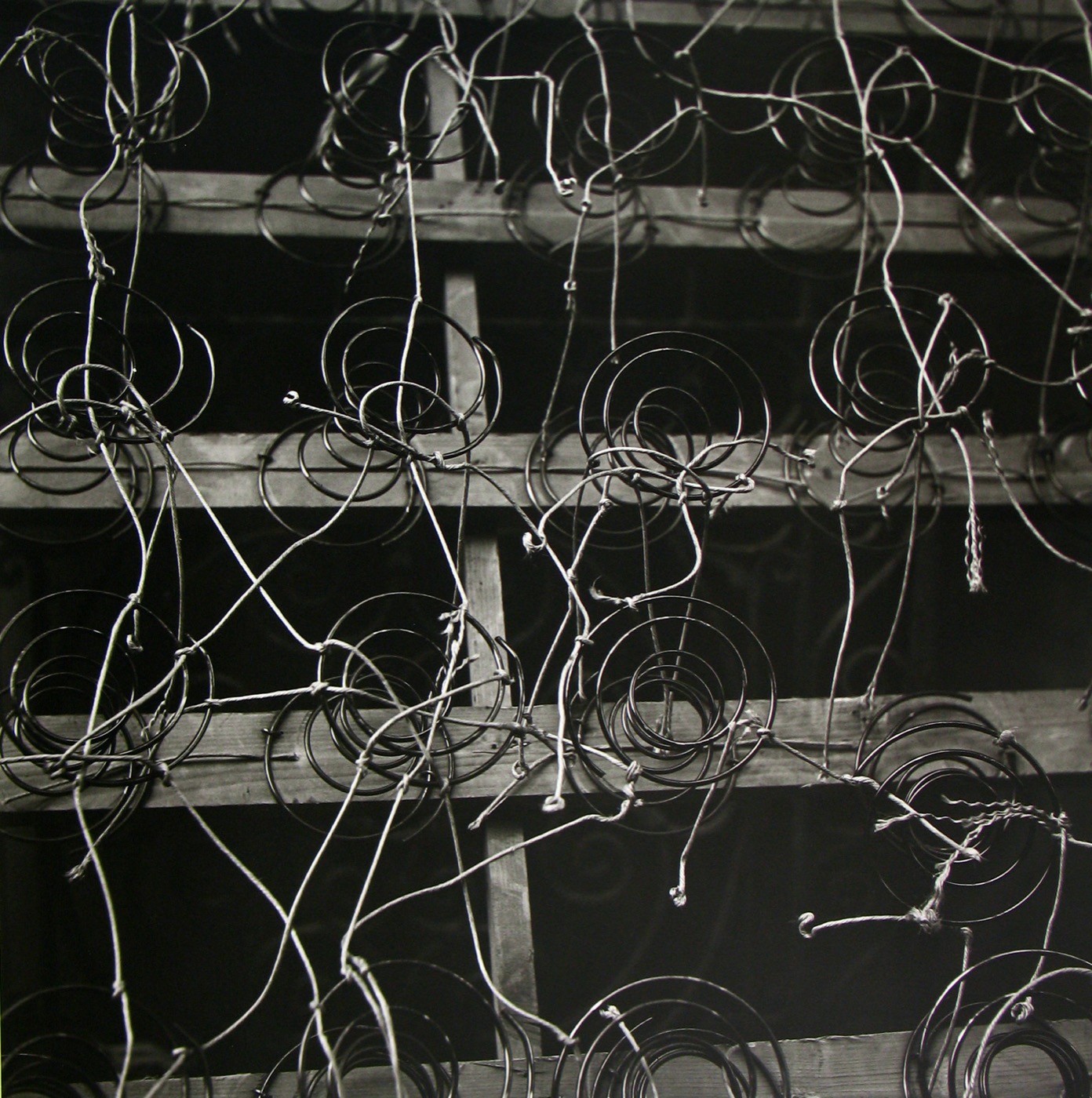 Vivian Maier, Untitled, No date