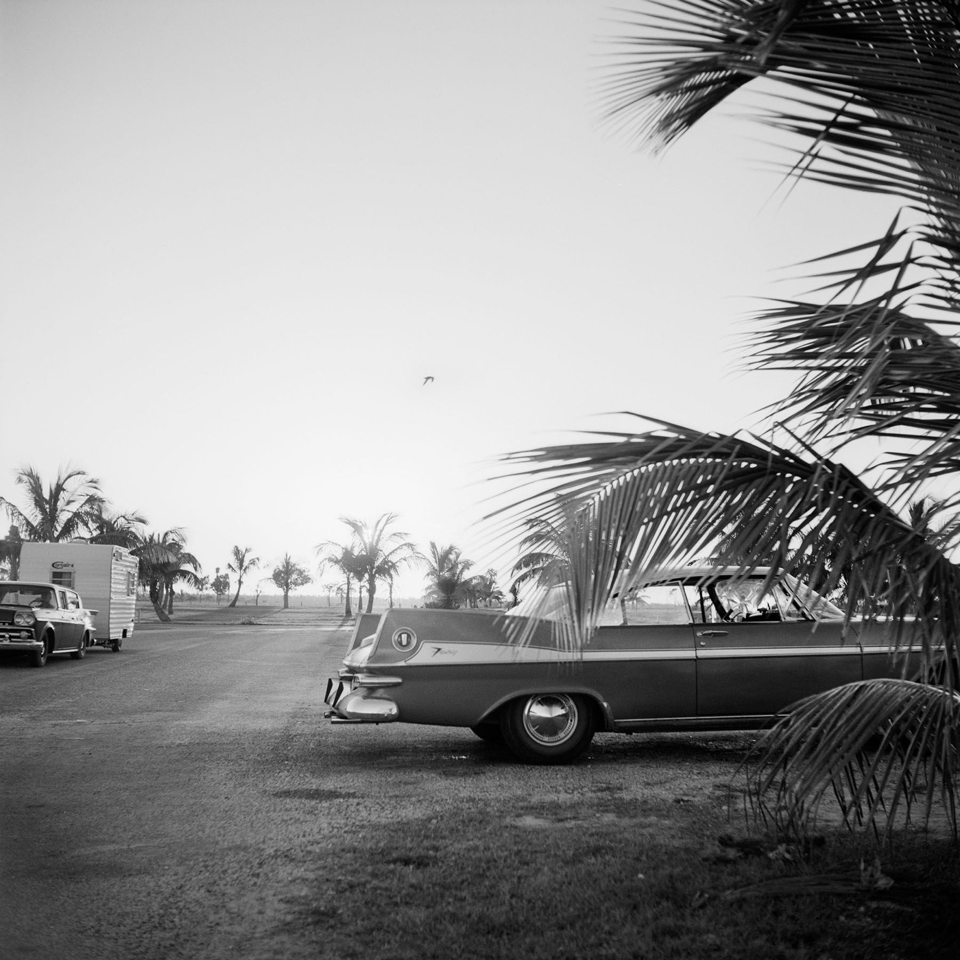Vivian Maier, Florida, No Date