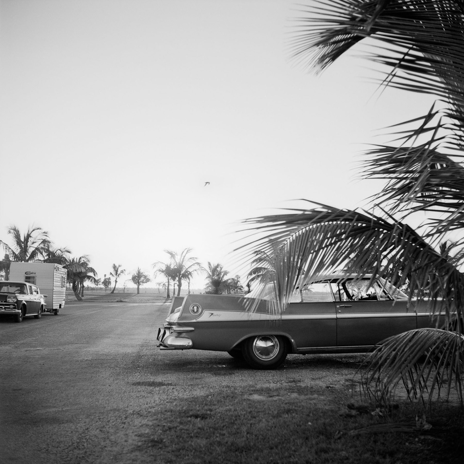 Vivian Maier, Florida, No Date