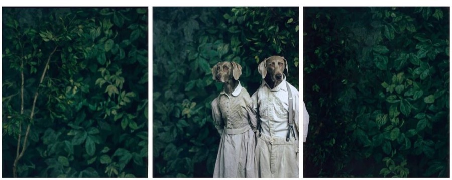 William Wegman, Hansel and Gretel, 2007
