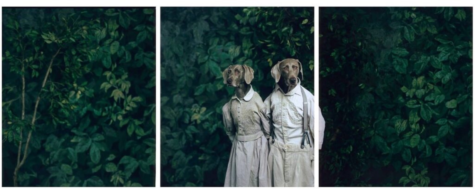 William Wegman, Hansel and Gretel, 2007