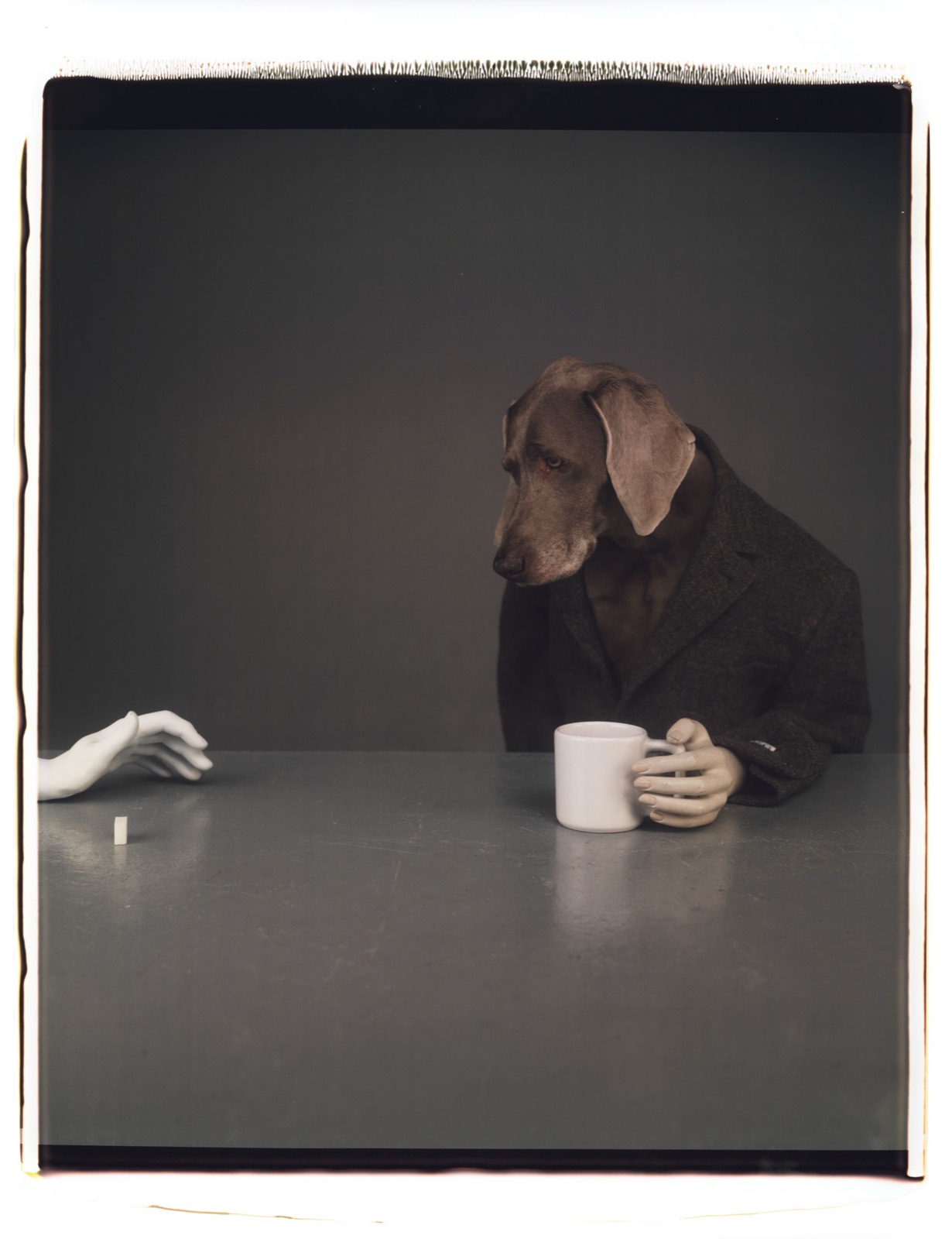William Wegman, One Lump, 1999