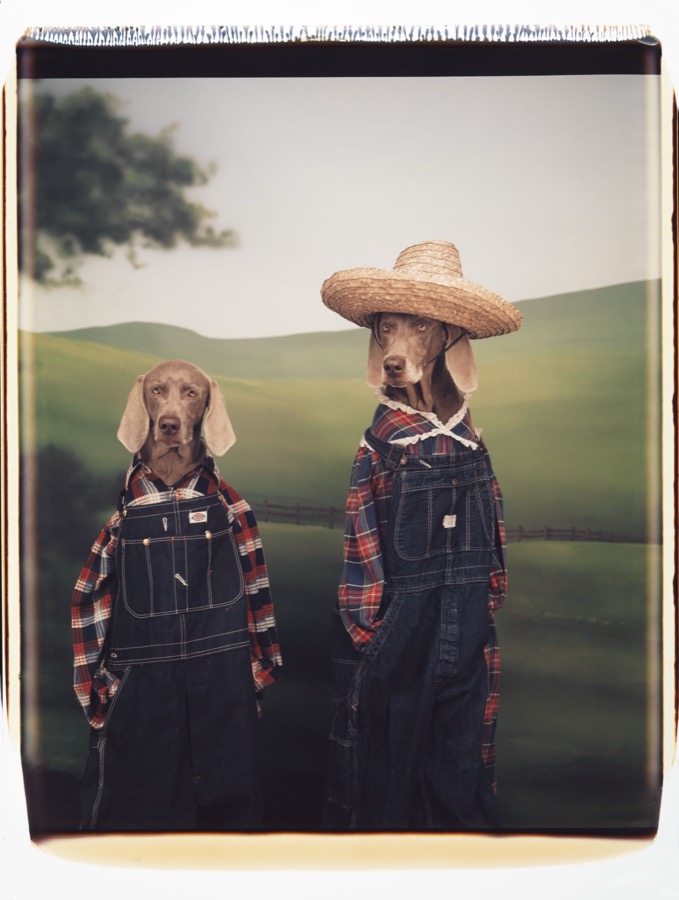 William Wegman, Farm Hands, 1994