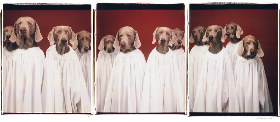 William Wegman, Choristers II, 2000