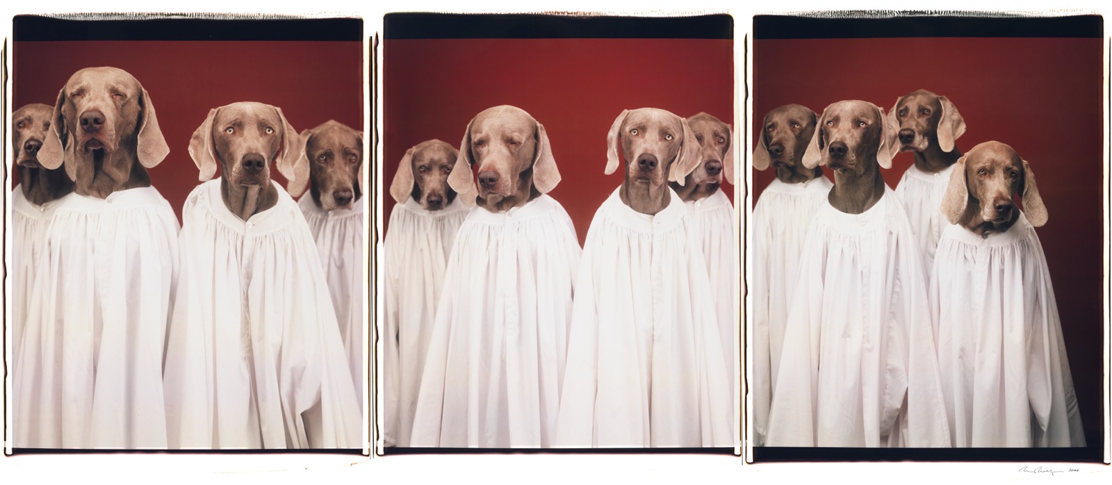 William Wegman, Choristers II, 2000