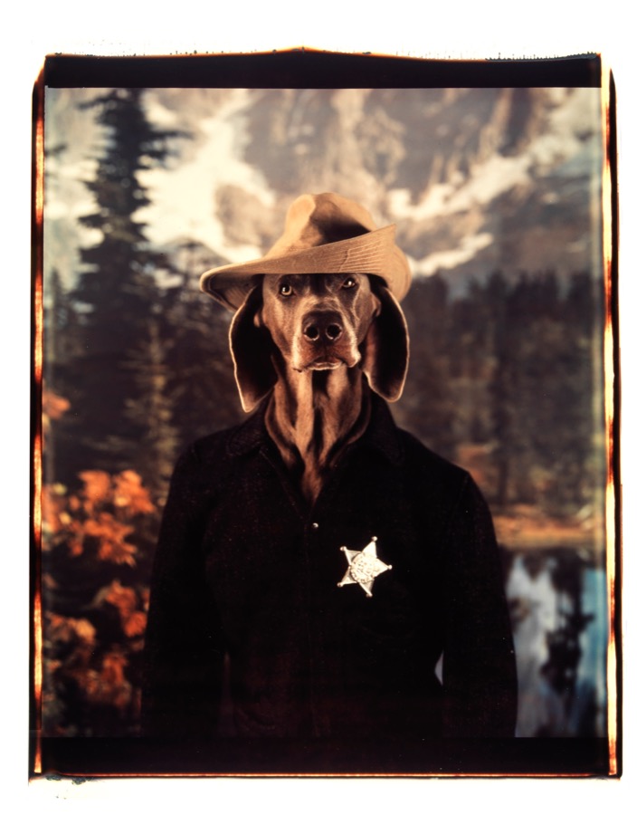 William Wegman, Coming About, 1994