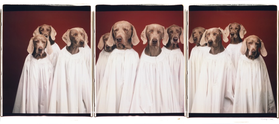 William Wegman, Second Choristers, 2000