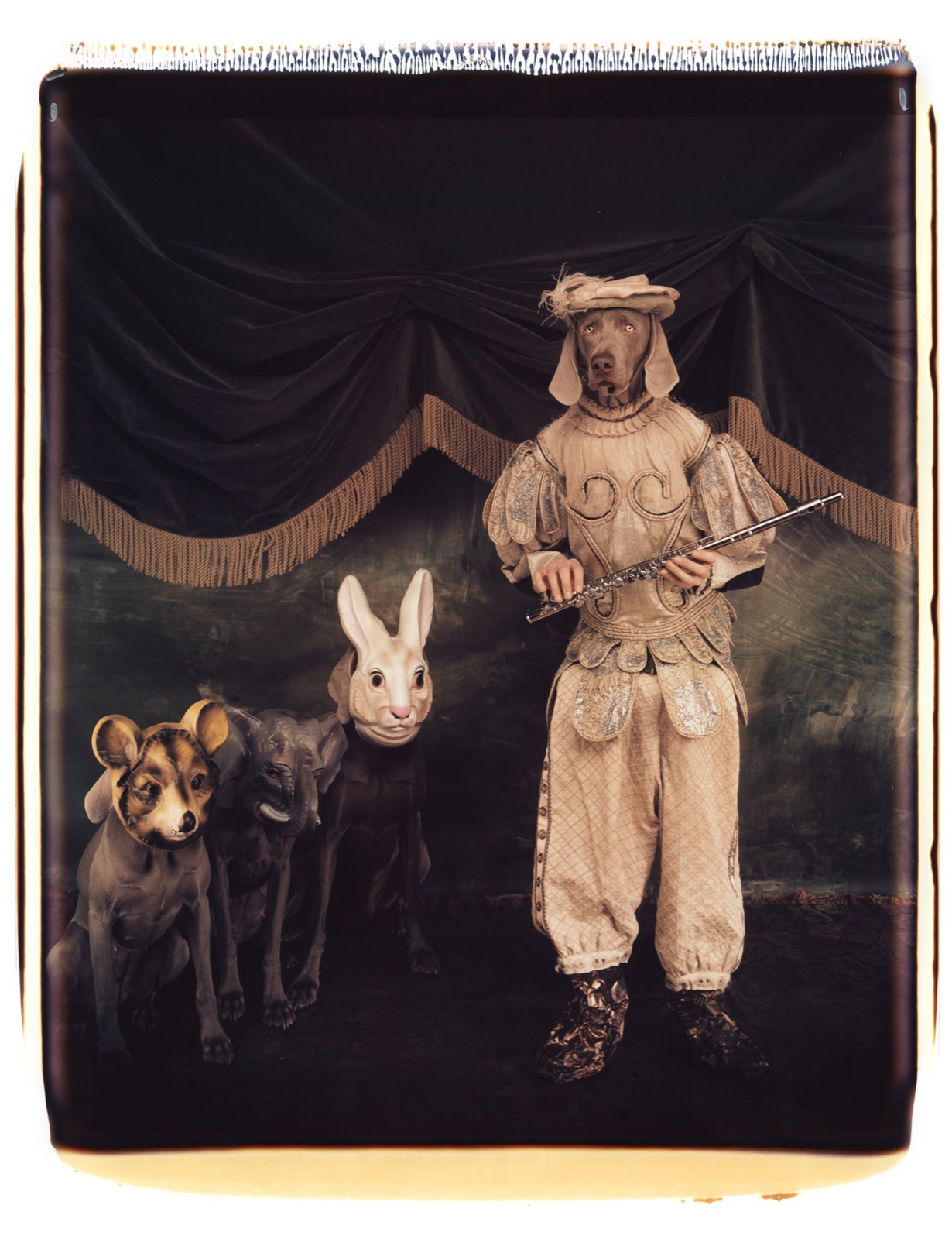 William Wegman, Tamino with Magic Flute, 1996