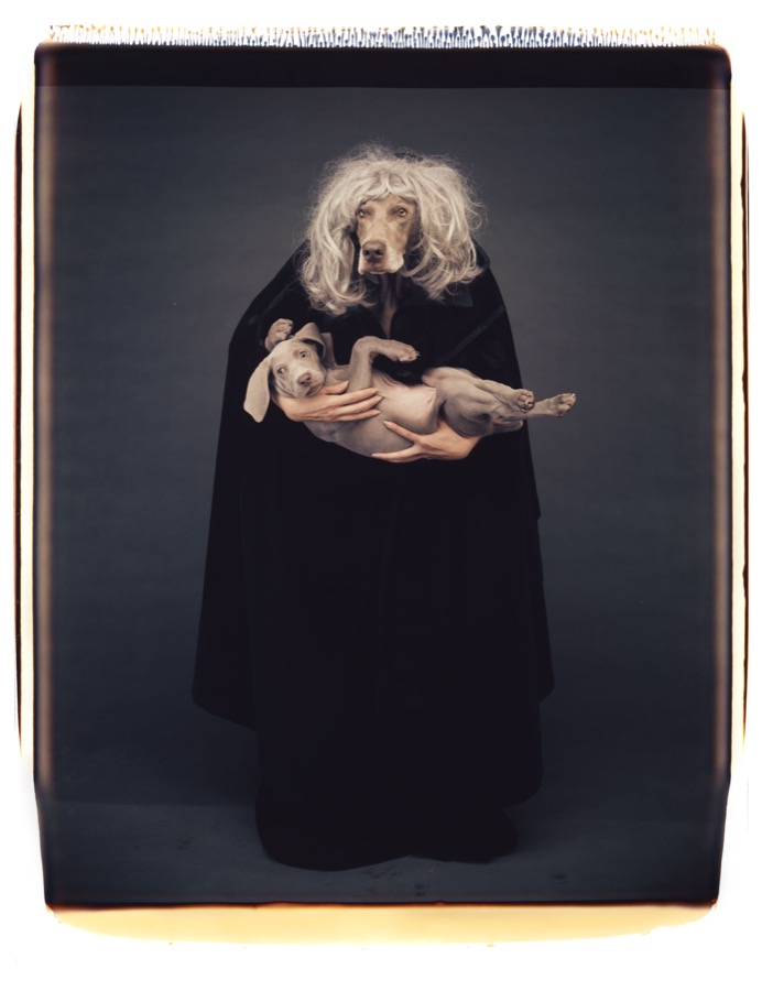 William Wegman, Kidnapper, 1993