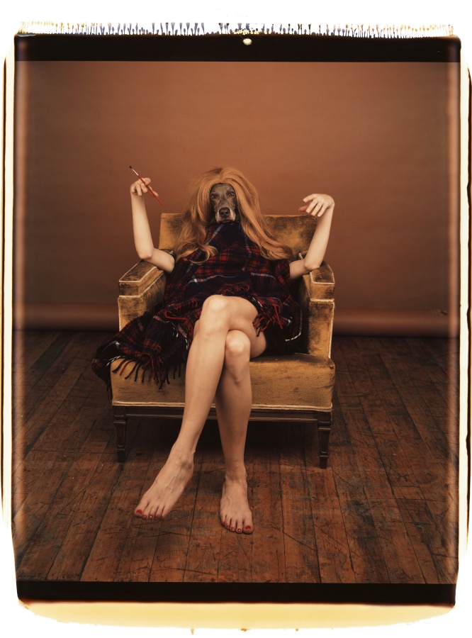 William Wegman, Untitled, 1994